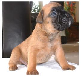 Thor à 22 jours